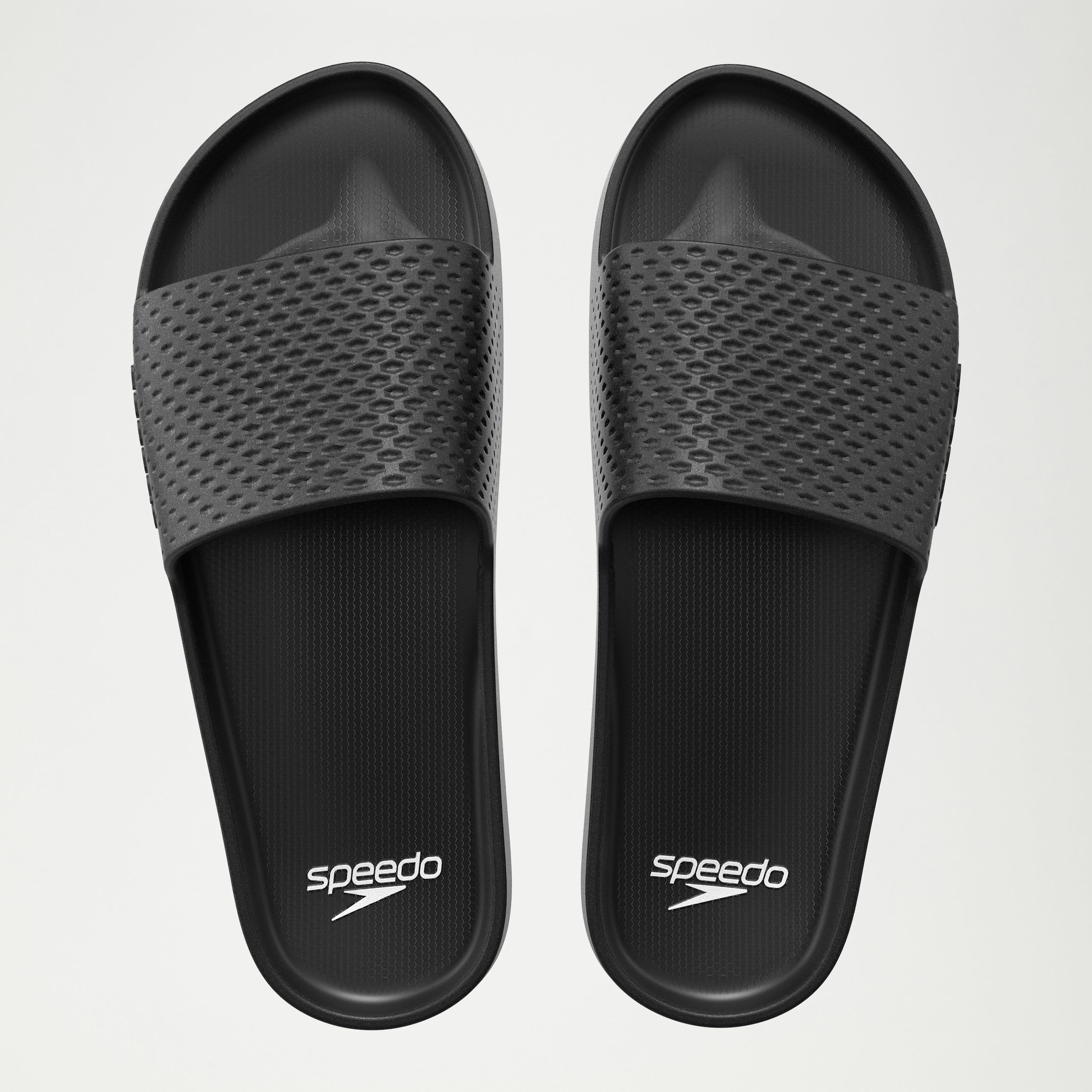 Men's Speedo Entry Slide Black